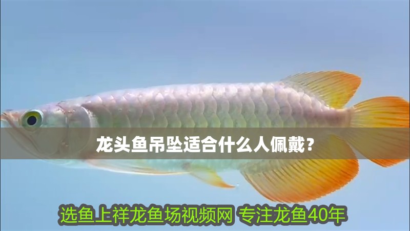 龍頭魚吊墜適合什么人佩戴？