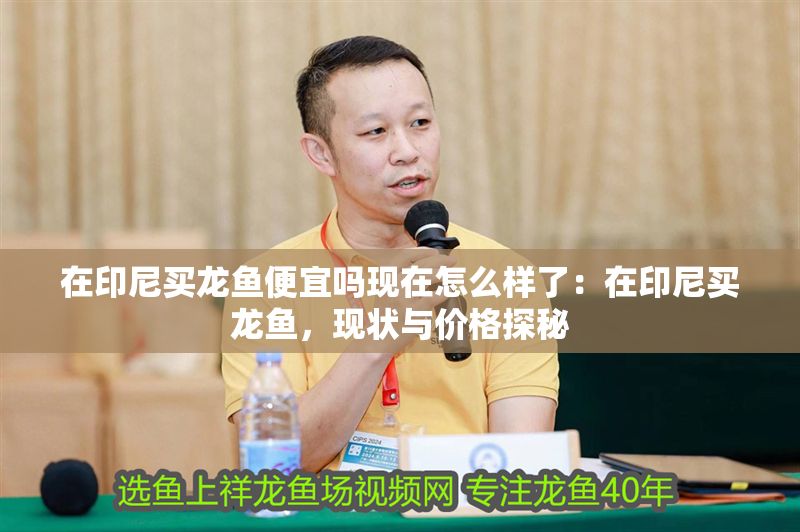 在印尼買龍魚便宜嗎現(xiàn)在怎么樣了：在印尼買龍魚，現(xiàn)狀與價(jià)格探秘
