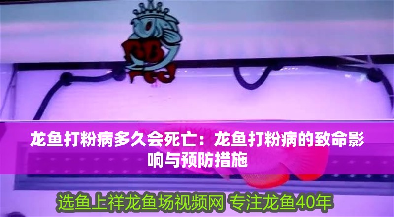 龍魚打粉病多久會死亡：龍魚打粉病的致命影響與預防措施