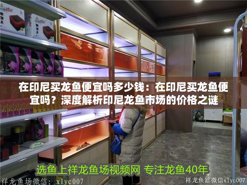 在印尼買龍魚便宜嗎多少錢：在印尼買龍魚便宜嗎？深度解析印尼龍魚市場的價格之謎