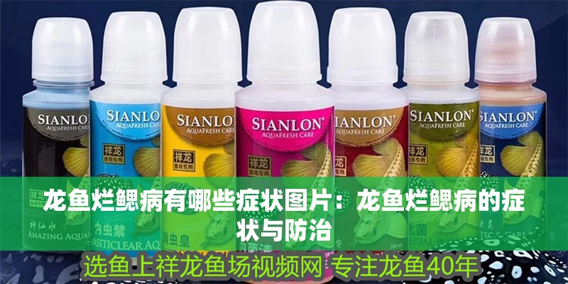 龍魚爛鰓病有哪些癥狀圖片：龍魚爛鰓病的癥狀與防治