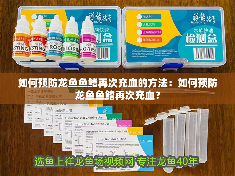 如何預防龍魚魚鰭再次充血的方法：如何預防龍魚魚鰭再次充血？