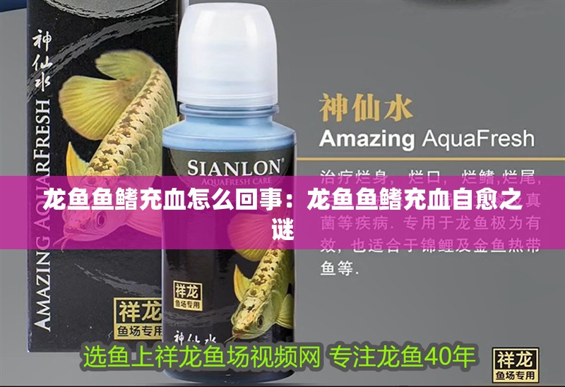 龍魚(yú)魚(yú)鰭充血怎么回事：龍魚(yú)魚(yú)鰭充血自愈之謎