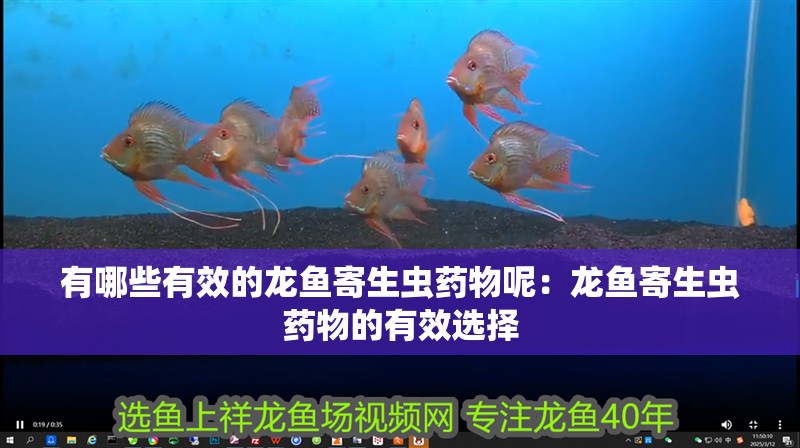 有哪些有效的龍魚寄生蟲藥物呢：龍魚寄生蟲藥物的有效選擇
