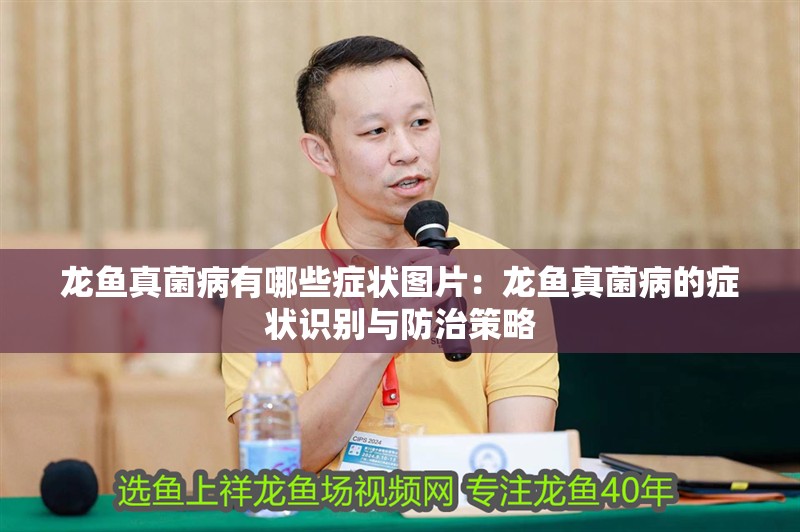 龍魚真菌病有哪些癥狀圖片：龍魚真菌病的癥狀識別與防治策略