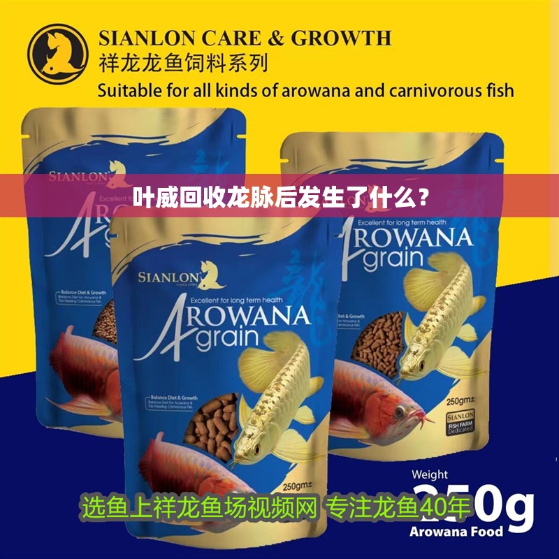 葉威回收龍脈后發(fā)生了什么？