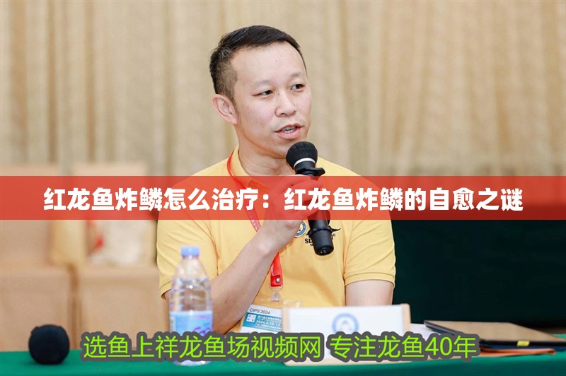 紅龍魚炸鱗怎么治療：紅龍魚炸鱗的自愈之謎