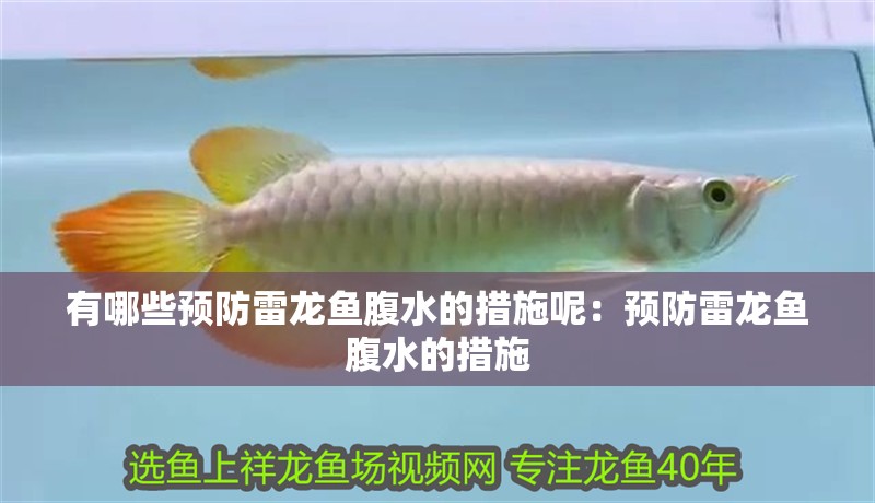 有哪些預防雷龍魚腹水的措施呢：預防雷龍魚腹水的措施
