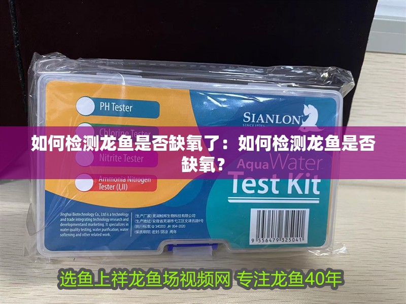 如何檢測龍魚是否缺氧了：如何檢測龍魚是否缺氧？