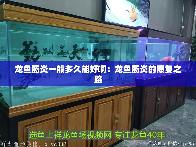 龍魚腸炎一般多久能好?。糊堲~腸炎的康復之路