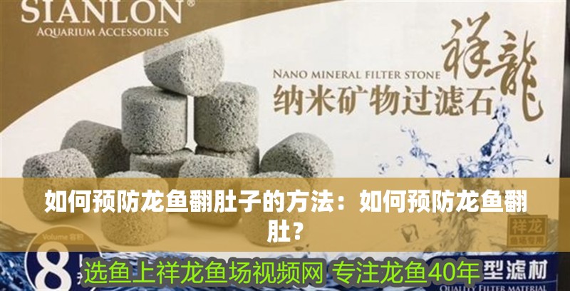 如何預(yù)防龍魚翻肚子的方法：如何預(yù)防龍魚翻肚？