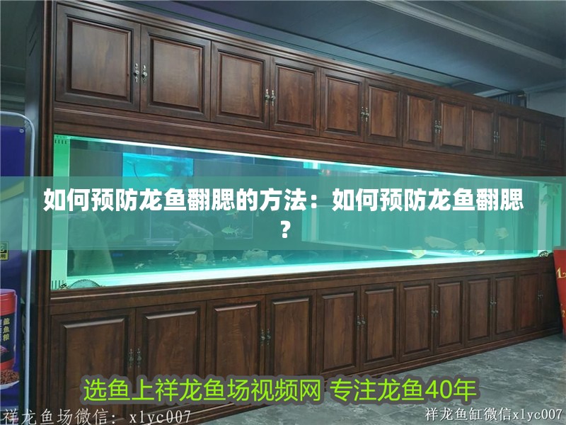 如何預防龍魚翻腮的方法：如何預防龍魚翻腮？