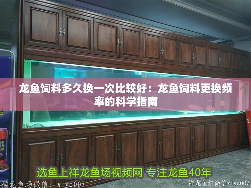 龍魚飼料多久換一次比較好：龍魚飼料更換頻率的科學指南