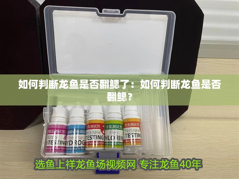 如何判斷龍魚是否翻鰓了：如何判斷龍魚是否翻鰓？