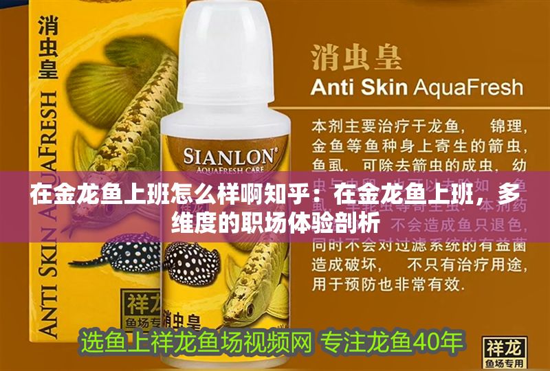 在金龍魚上班怎么樣啊知乎：在金龍魚上班，多維度的職場體驗(yàn)剖析
