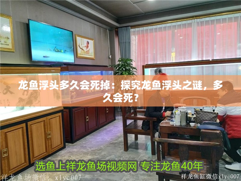 龍魚(yú)浮頭多久會(huì)死掉：探究龍魚(yú)浮頭之謎，多久會(huì)死？