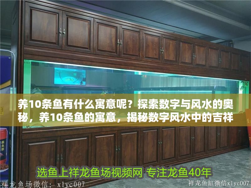 養10條魚有什么寓意呢？探索數字與風水的奧秘，養10條魚的寓意，揭秘數字風水中的吉祥象征