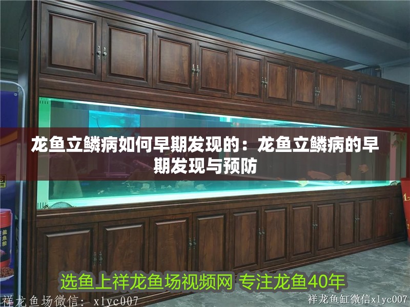 龍魚立鱗病如何早期發(fā)現(xiàn)的：龍魚立鱗病的早期發(fā)現(xiàn)與預防