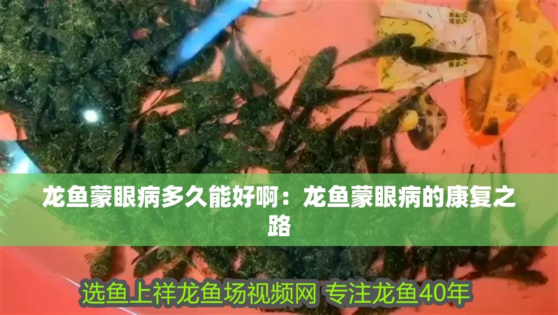 龍魚蒙眼病多久能好?。糊堲~蒙眼病的康復之路