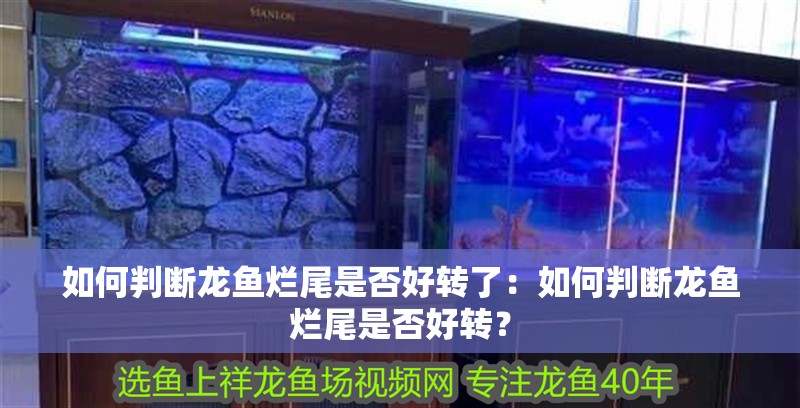 如何判斷龍魚爛尾是否好轉了：如何判斷龍魚爛尾是否好轉？