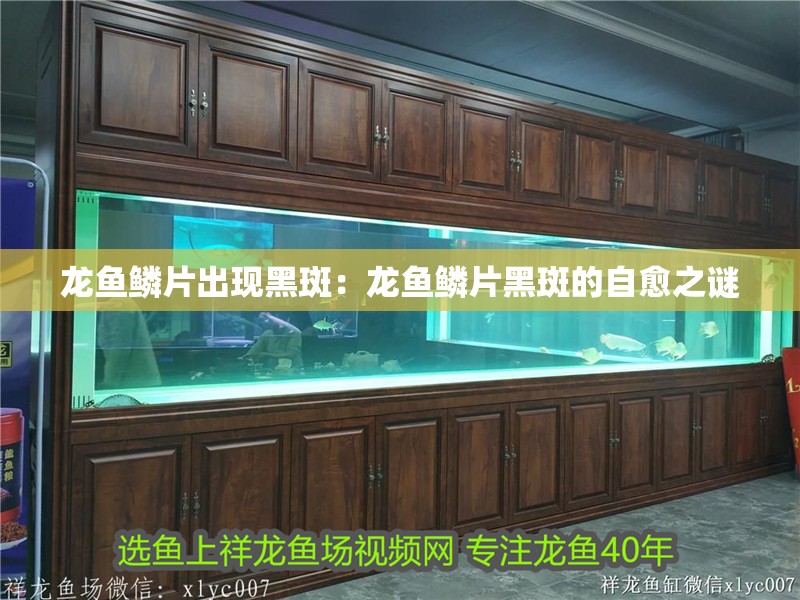 龍魚鱗片出現黑斑：龍魚鱗片黑斑的自愈之謎