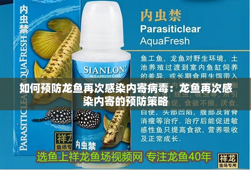 如何預防龍魚再次感染內寄病毒:龍魚再次感染內寄的預防策略
