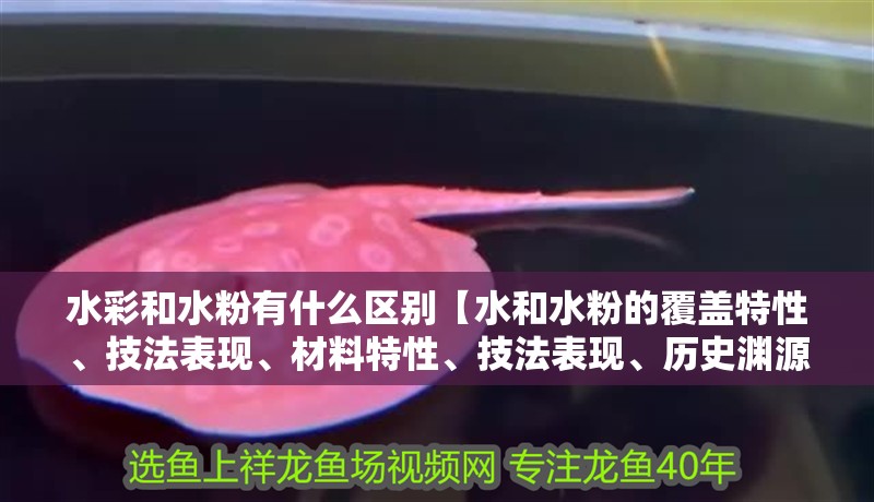 水彩和水粉有什么區別【水和水粉的覆蓋特性、技法表現、材料特性、技法表現、歷史淵源】