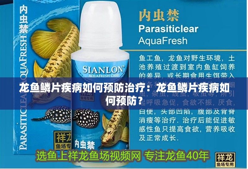 龍魚鱗片疾病如何預(yù)防治療：龍魚鱗片疾病如何預(yù)防？