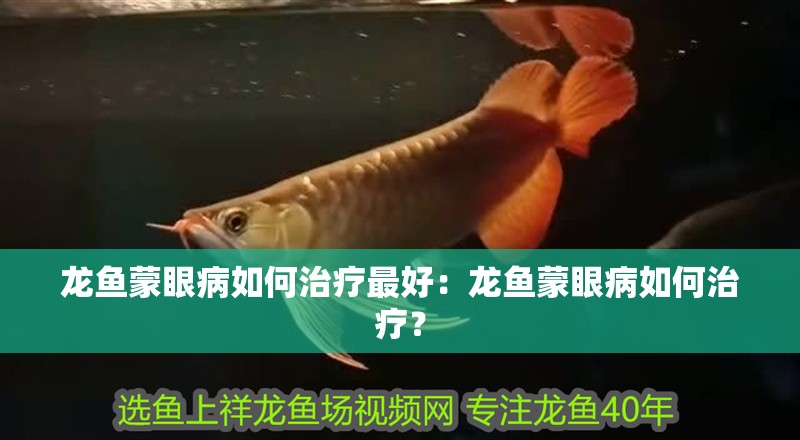 龍魚(yú)蒙眼病如何治療最好：龍魚(yú)蒙眼病如何治療？