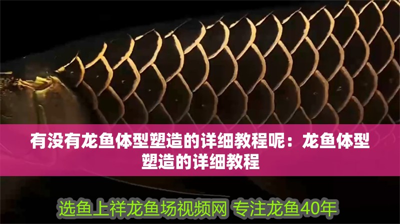 有沒有龍魚體型塑造的詳細教程呢：龍魚體型塑造的詳細教程
