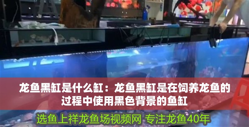 龍魚黑缸是什么缸：龍魚黑缸是在飼養龍魚的過程中使用黑色背景的魚缸
