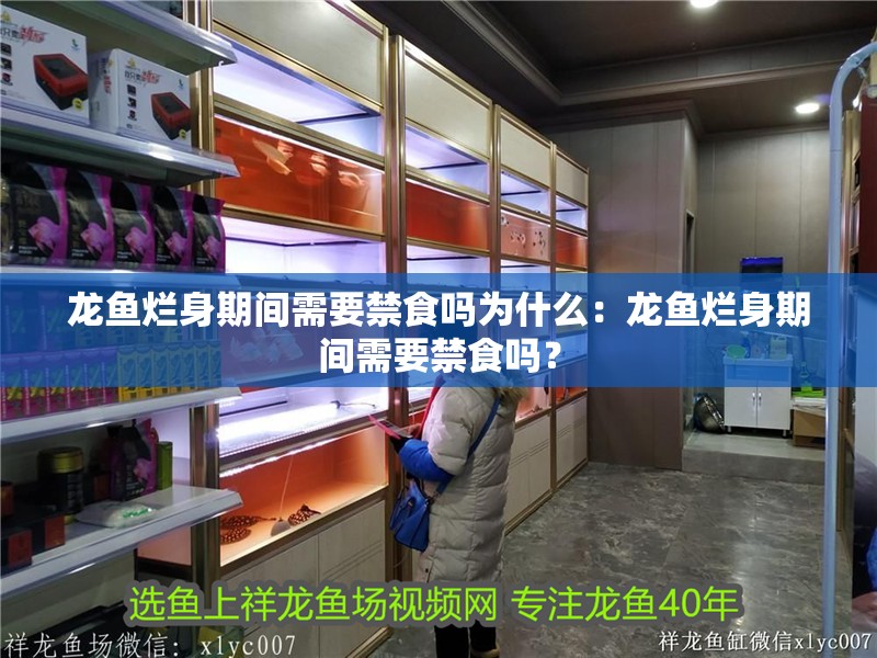 龍魚爛身期間需要禁食嗎為什么：龍魚爛身期間需要禁食嗎？