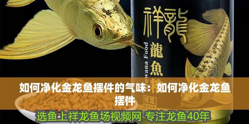 如何凈化金龍魚擺件的氣味：如何凈化金龍魚擺件