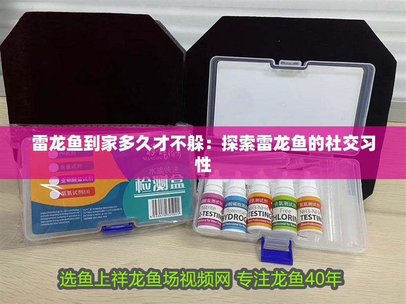 雷龍魚到家多久才不躲：探索雷龍魚的社交習性