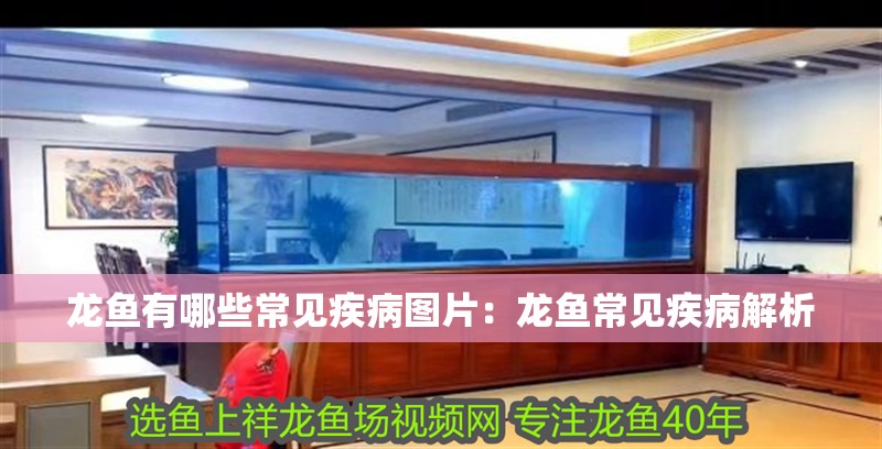 龍魚有哪些常見疾病圖片：龍魚常見疾病解析