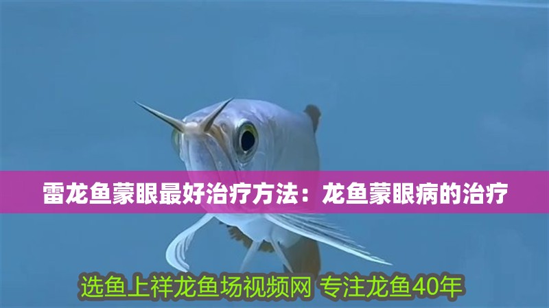 雷龍魚蒙眼最好治療方法：龍魚蒙眼病的治療