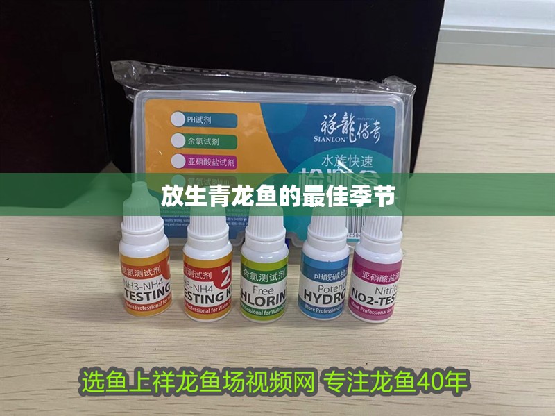 放生青龍魚的最佳季節