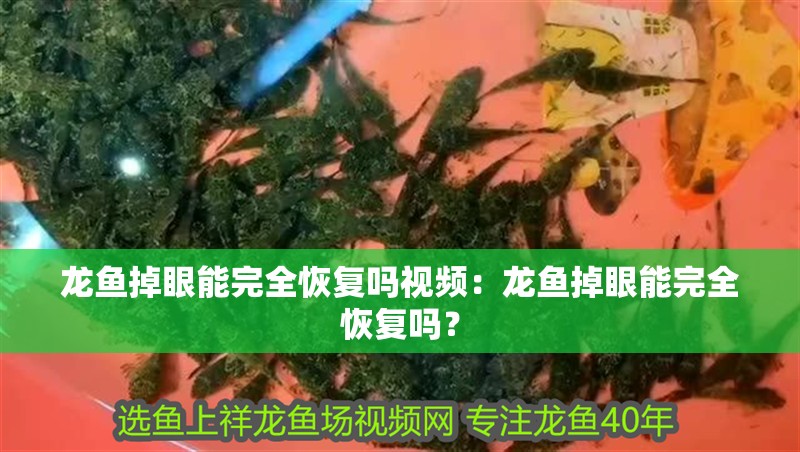 龍魚掉眼能完全恢復(fù)嗎視頻：龍魚掉眼能完全恢復(fù)嗎？