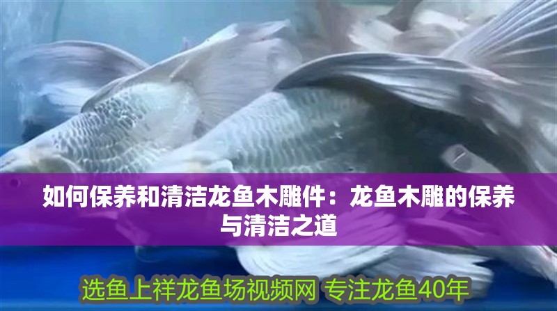 如何保養和清潔龍魚木雕件：龍魚木雕的保養與清潔之道