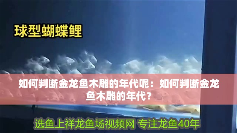 如何判斷金龍魚木雕的年代呢：如何判斷金龍魚木雕的年代？