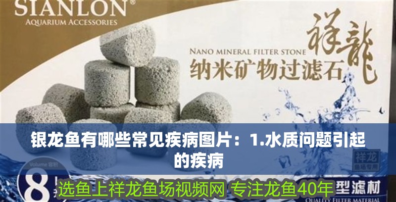 銀龍魚有哪些常見疾病圖片：1.水質問題引起的疾病
