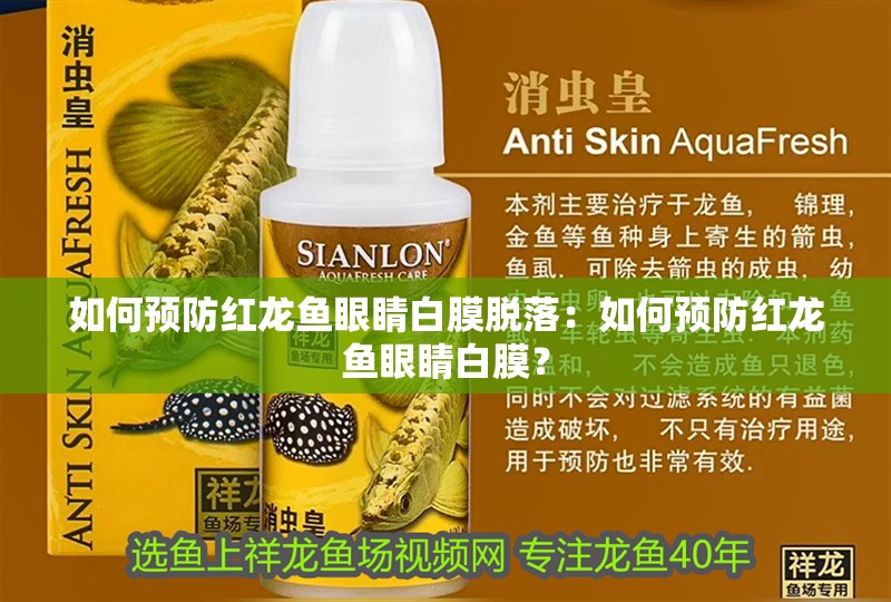 如何預防紅龍魚眼睛白膜脫落：如何預防紅龍魚眼睛白膜？