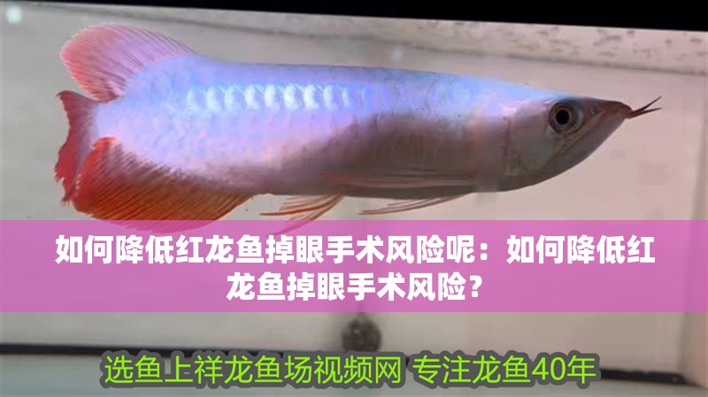 如何降低紅龍魚掉眼手術(shù)風(fēng)險(xiǎn)呢：如何降低紅龍魚掉眼手術(shù)風(fēng)險(xiǎn)？