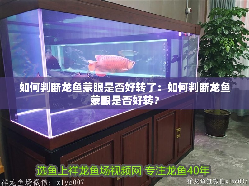 如何判斷龍魚蒙眼是否好轉了：如何判斷龍魚蒙眼是否好轉？