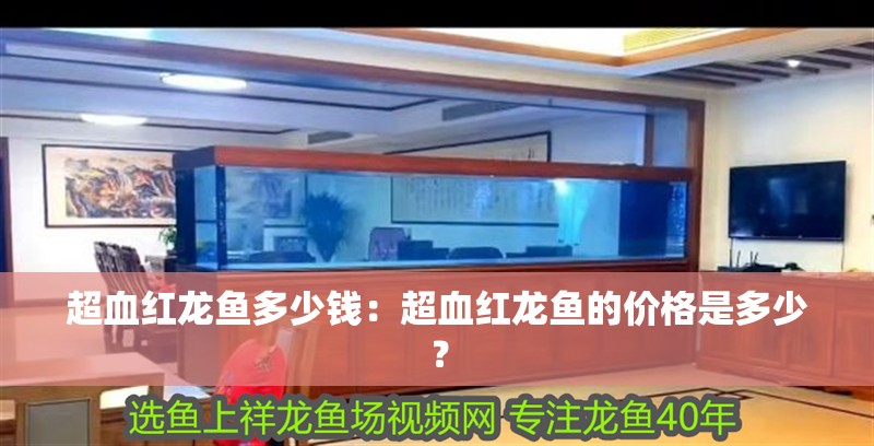超血紅龍魚多少錢：超血紅龍魚的價格是多少？