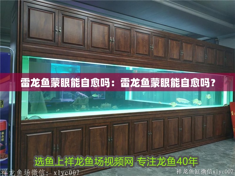 雷龍魚蒙眼能自愈嗎：雷龍魚蒙眼能自愈嗎？