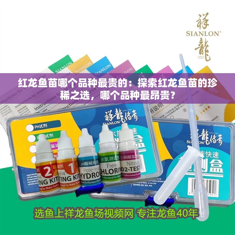 紅龍魚苗哪個品種最貴的：探索紅龍魚苗的珍稀之選，哪個品種最昂貴？