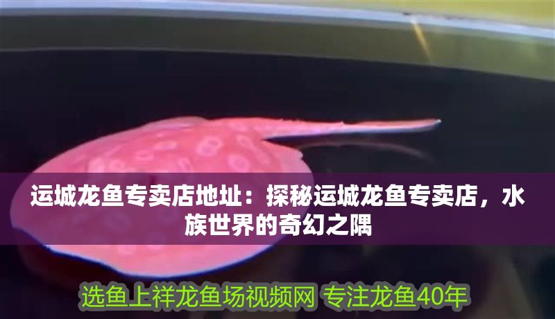 [haixiu][haixiu][haixiu]