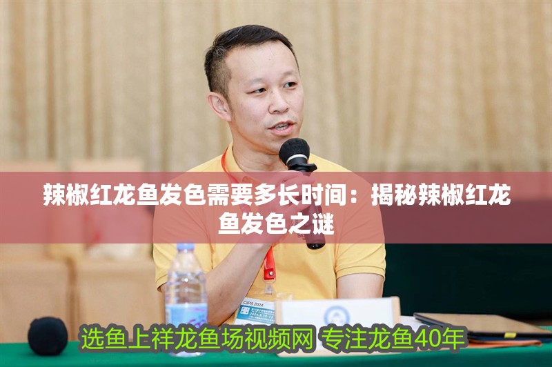 辣椒紅龍魚發色需要多長時間：揭秘辣椒紅龍魚發色之謎