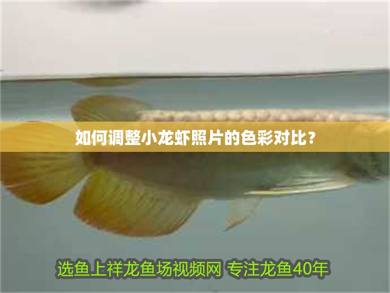 如何調整小龍蝦照片的色彩對比？